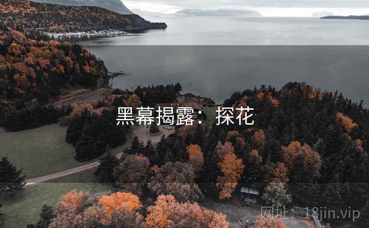 黑幕揭露:探花 第2张 黑幕揭露:探花 第2张