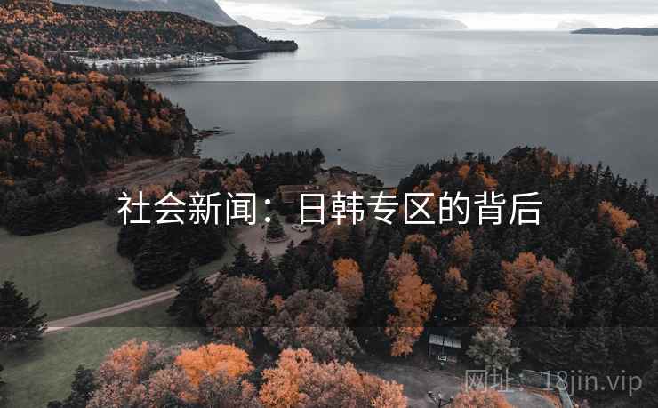 社会新闻:日韩专区的背后