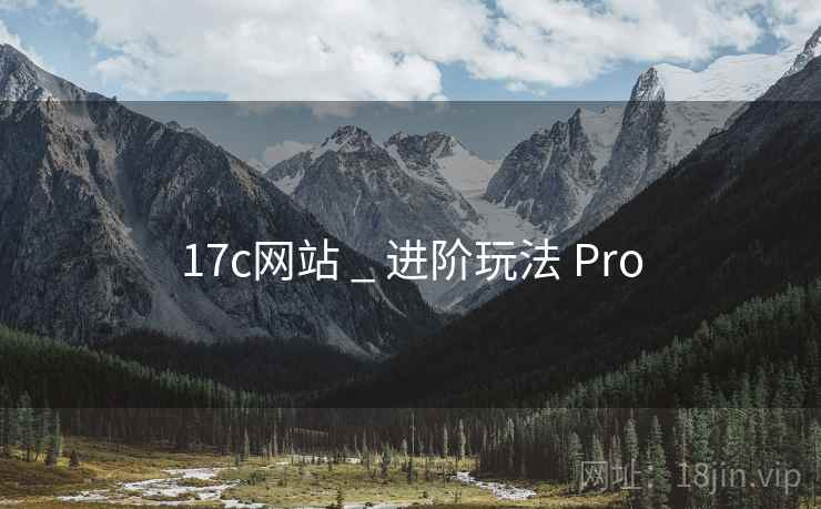 17c网站 _ 进阶玩法 Pro
