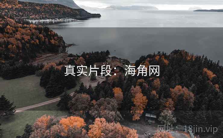 真实片段:海角网