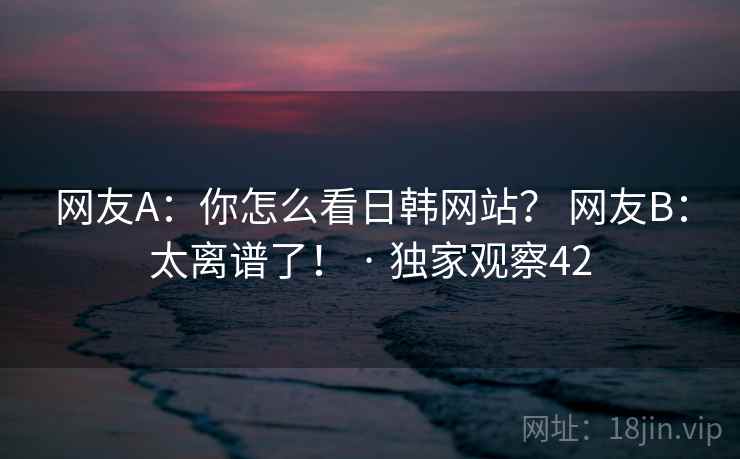 网友A:你怎么看日韩网站? 网友B:太离谱了! · 独家观察42